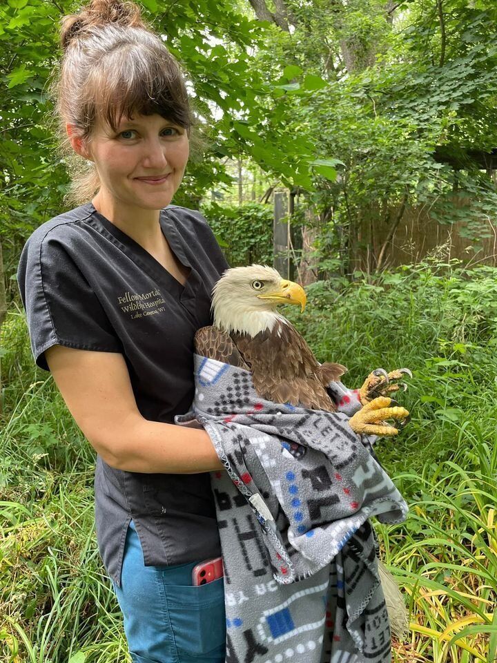 Yvonne Wallace Blane with eagle